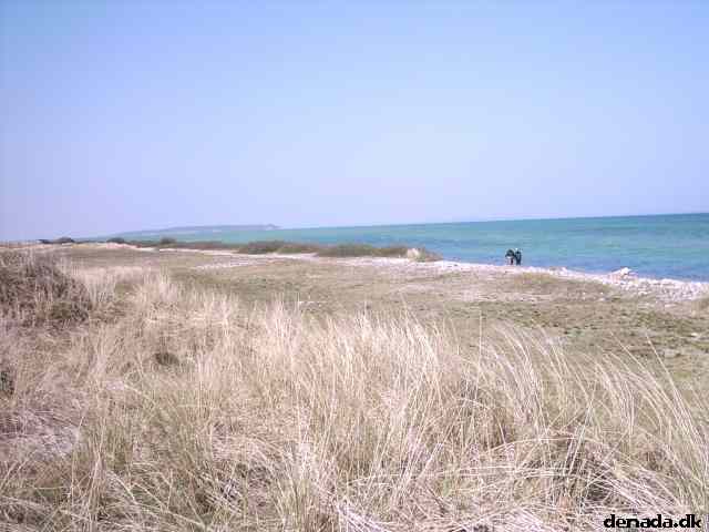 * Image 7