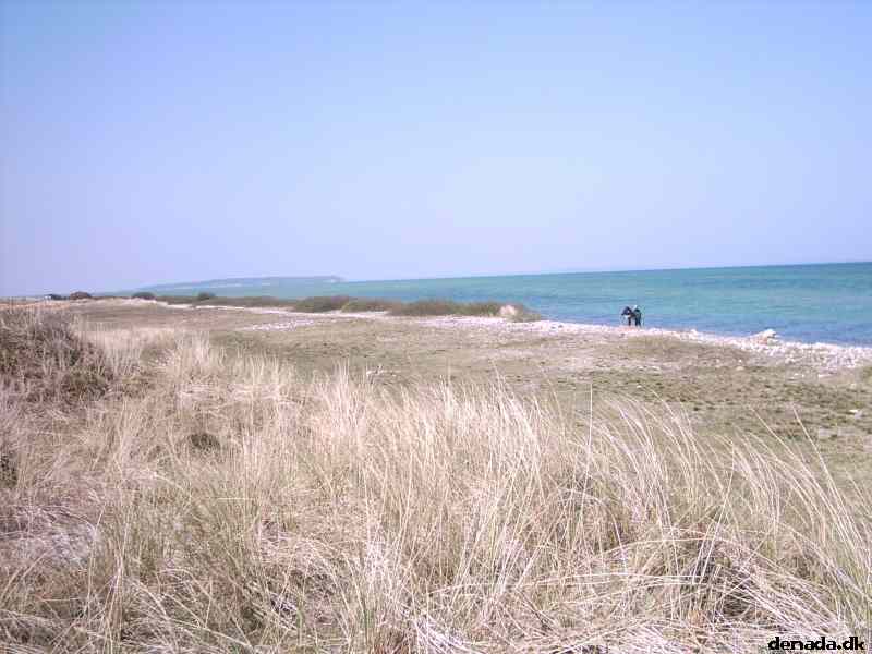 * Image 7