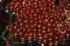 200911080002m.jpg - 2009:11:08 15:11:13