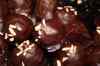 200911080027m.jpg - 2009:11:08 15:24:07
