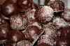200911080030m.jpg - 2009:11:08 15:24:36
