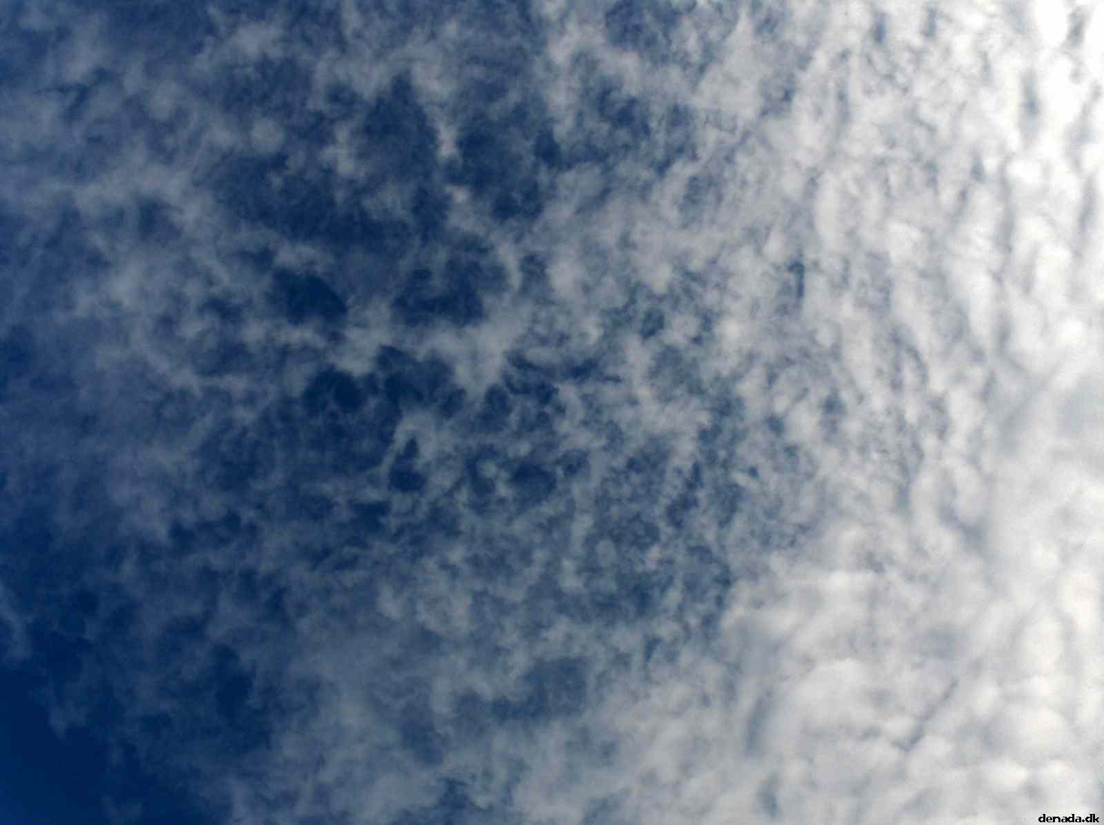 * Image 21
