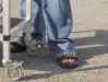 HPIM0684.JPG - 2005:08:19 16:35:12