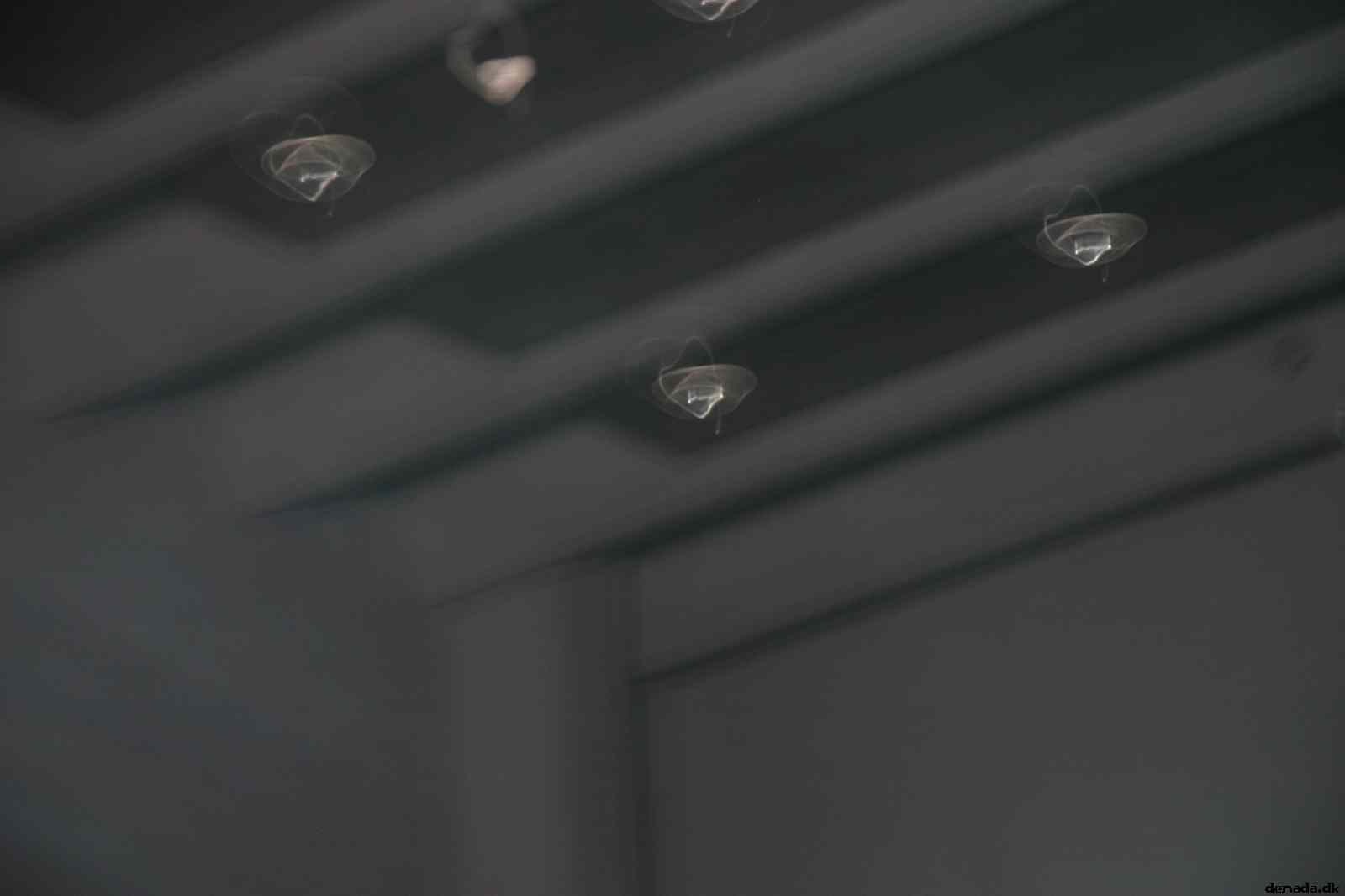 * Image 35