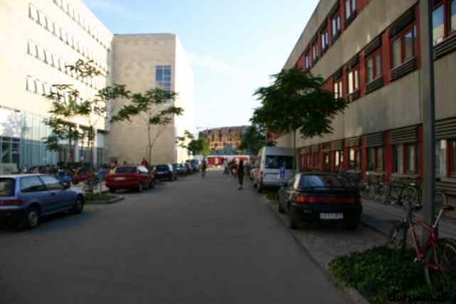 * Image 73