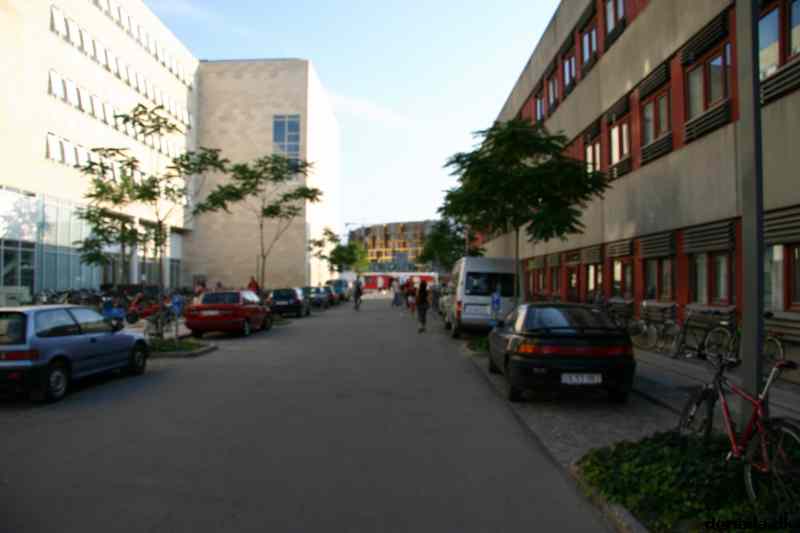 * Image 73