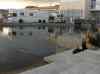 HPIM0377.JPG - 2006:08:19 19:40:17