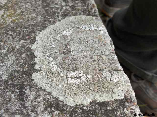 * Image 91