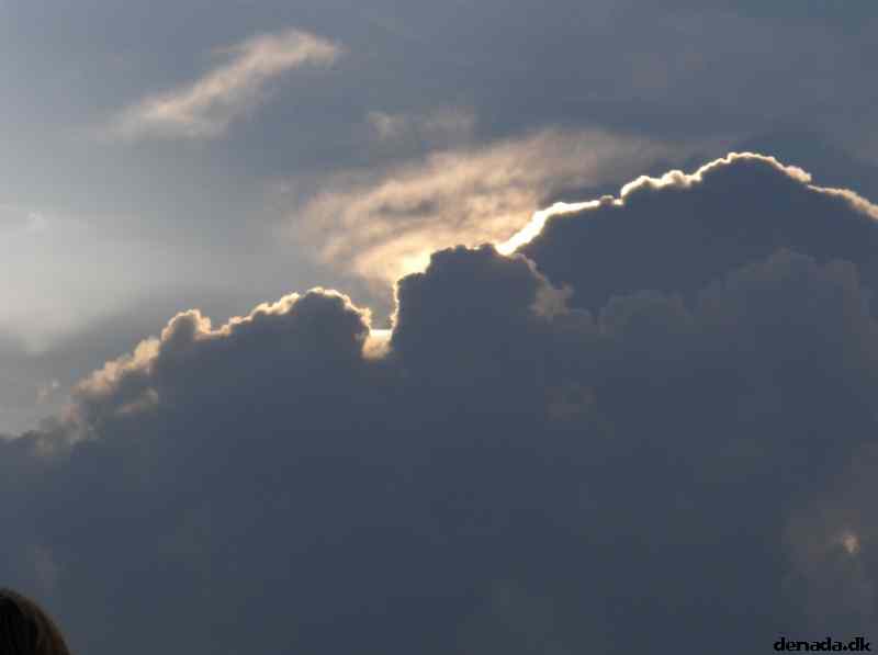 * Image 156