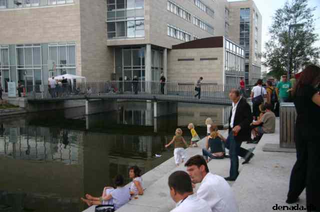 * Image 53