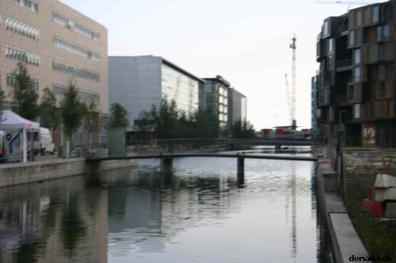* Image 46
