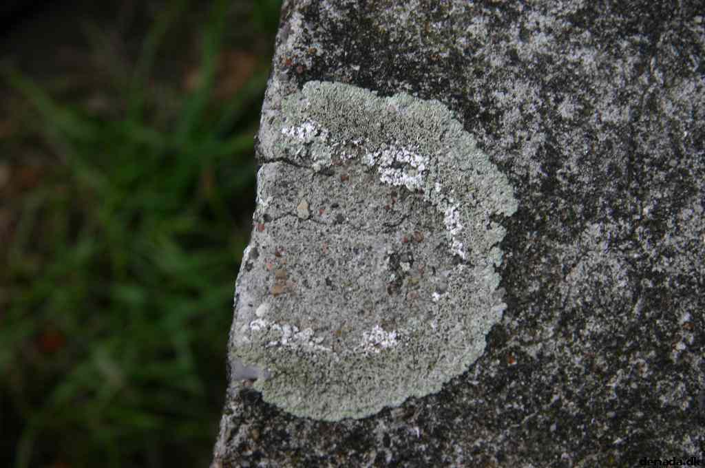 * Image 32