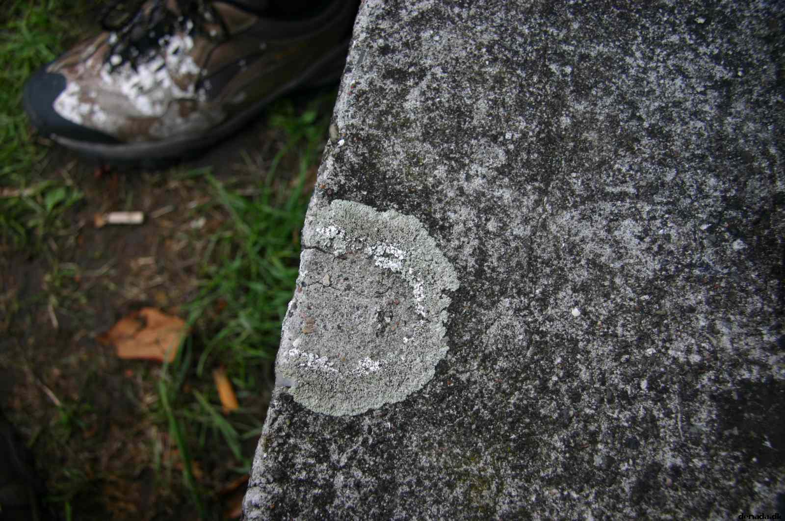 * Image 31