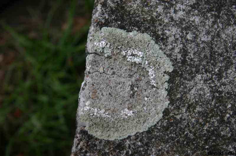 * Image 32