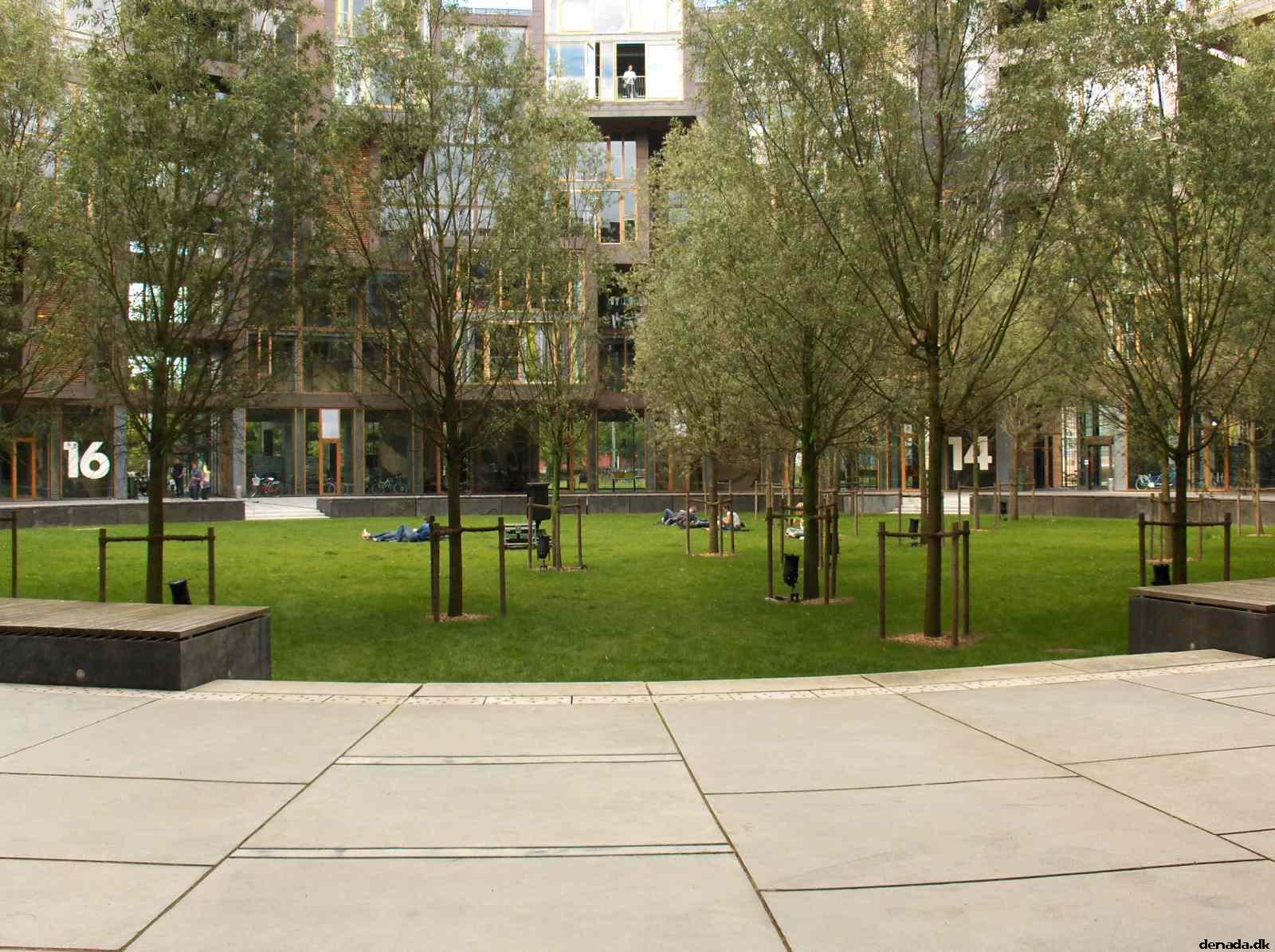 * Image 6
