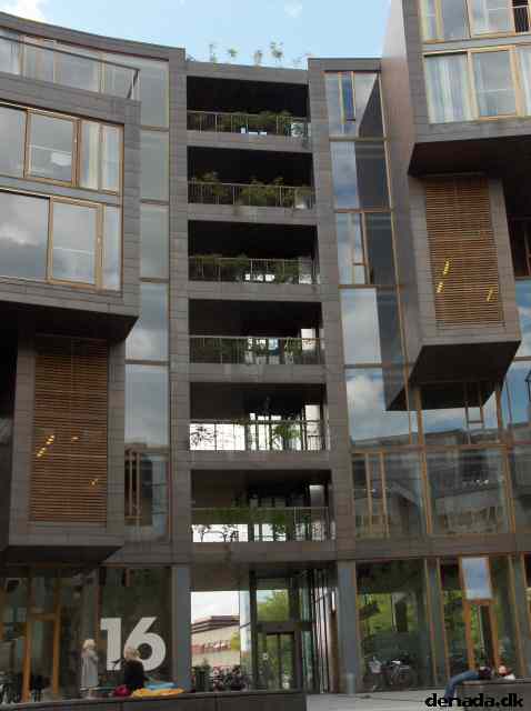* Image 11