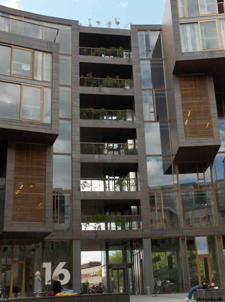 * Image 11