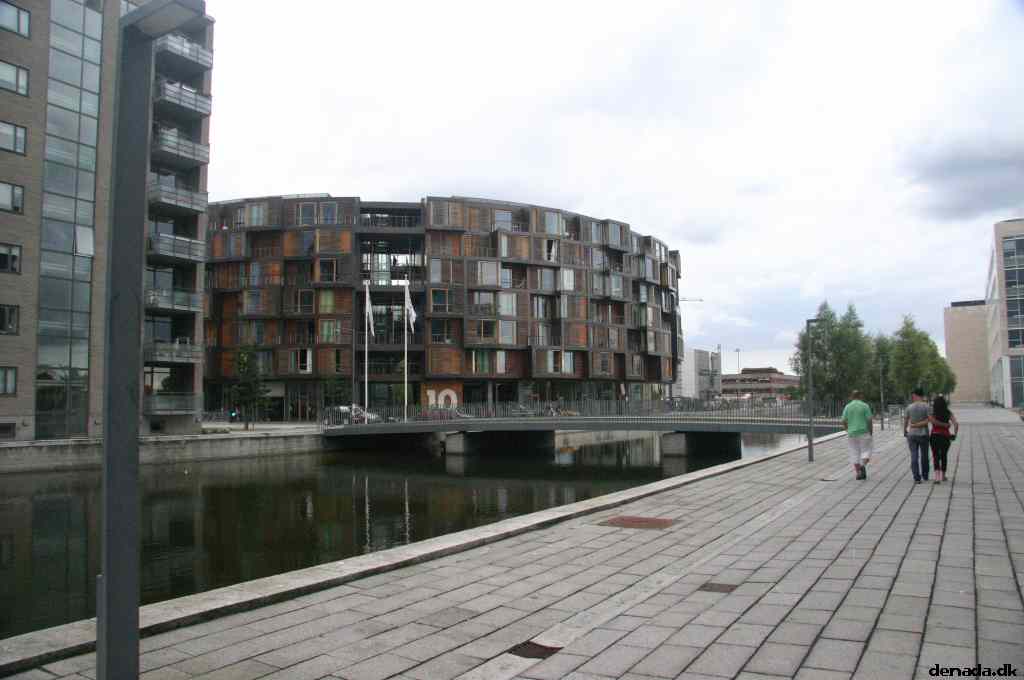 * Image 42