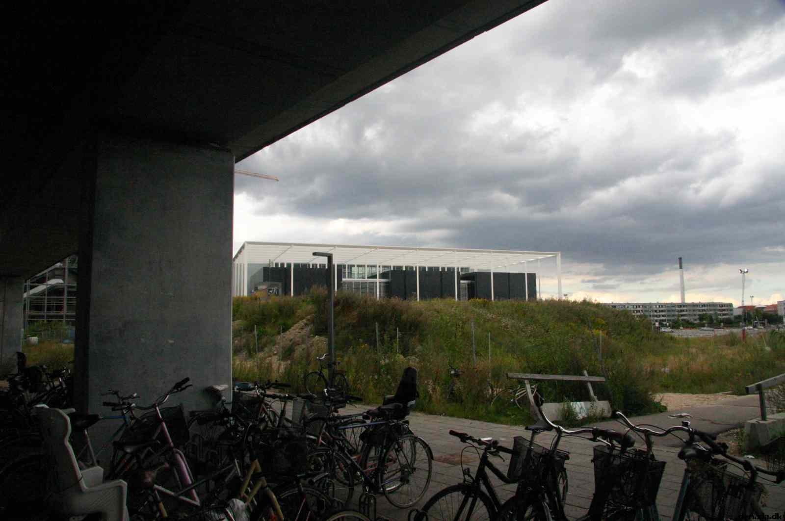 * Image 36