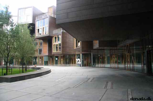 * Image 19