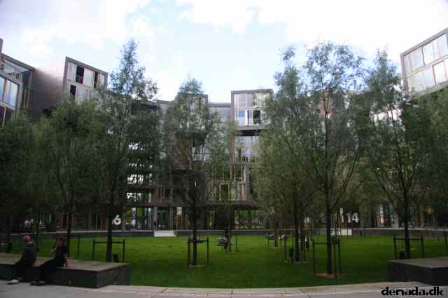 * Image 21