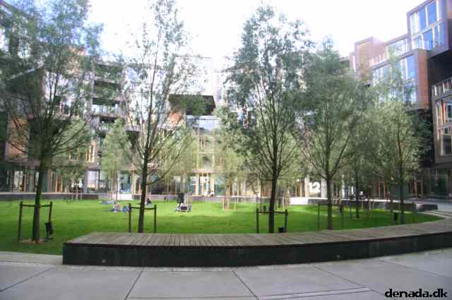 * Image 24