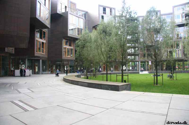 * Image 17