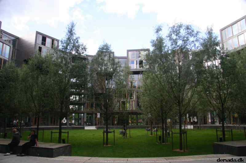 * Image 21