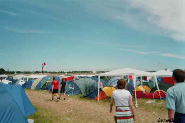 * Image 12