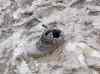 HPIM2662.JPG - 2007:07:04 11:08:01