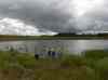 HPIM2686.JPG - 2007:07:04 12:23:02