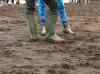HPIM2803.JPG - 2007:07:08 16:06:31