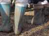 HPIM2813.JPG - 2007:07:08 19:18:13
