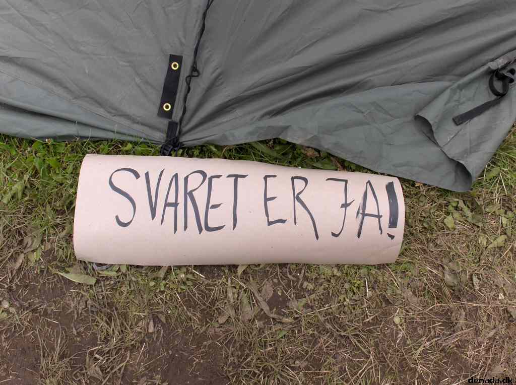 * Image 35