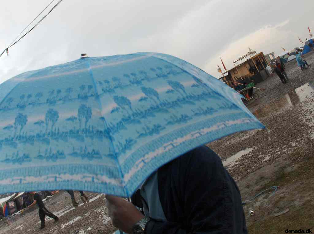 * Image 53