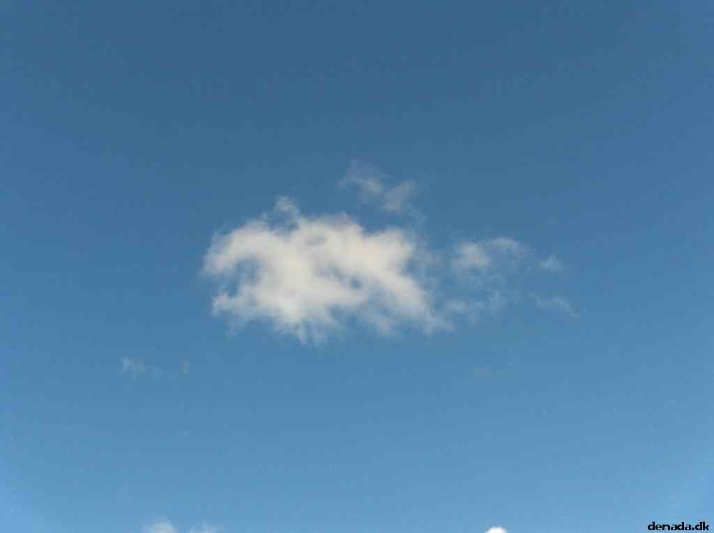 * Image 130