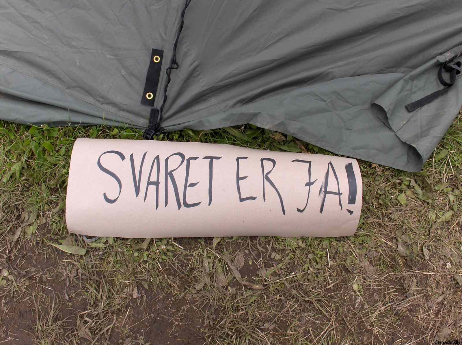 * Image 35