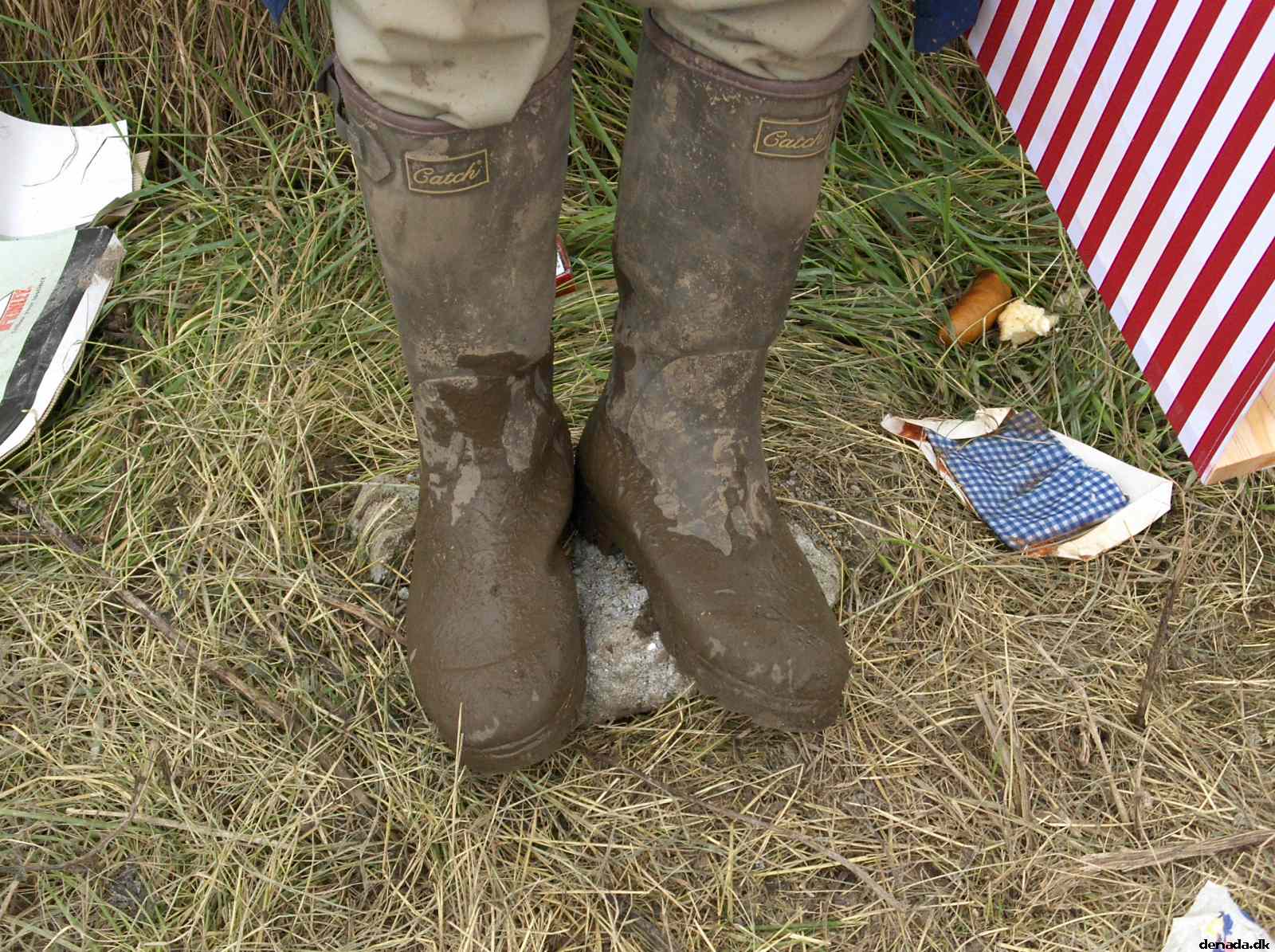 * Image 36