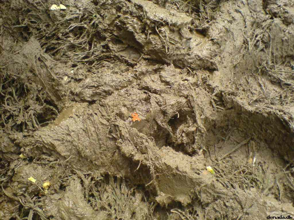 * Image 145