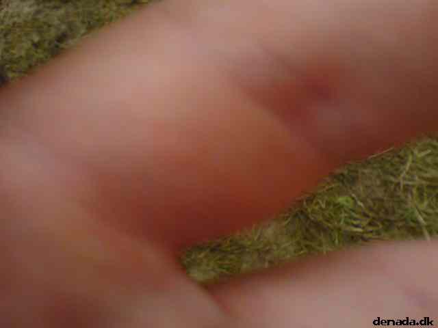 * Image 34