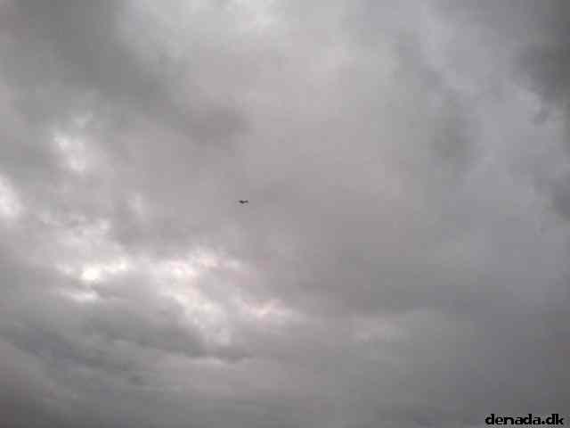 * Image 37