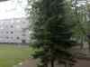 20080707_135031.jpg - 2008:07:07 13:50:31