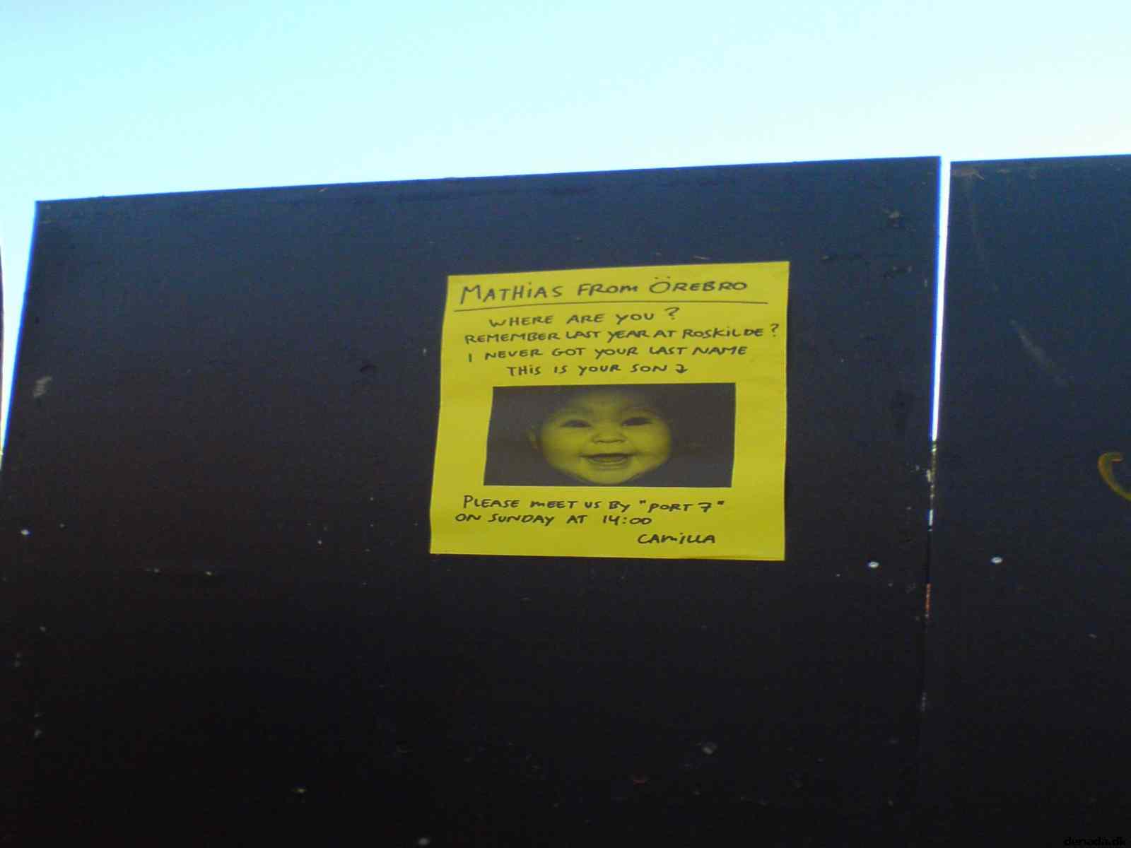* Image 31