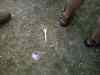 20090703_191325.jpg - 2009:07:03 19:13:25