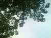 20090705_212819.jpg - 2009:07:05 21:28:19