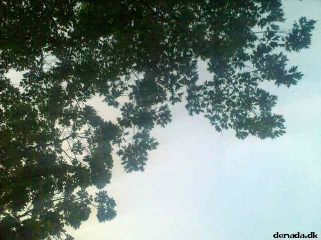 * Image 51