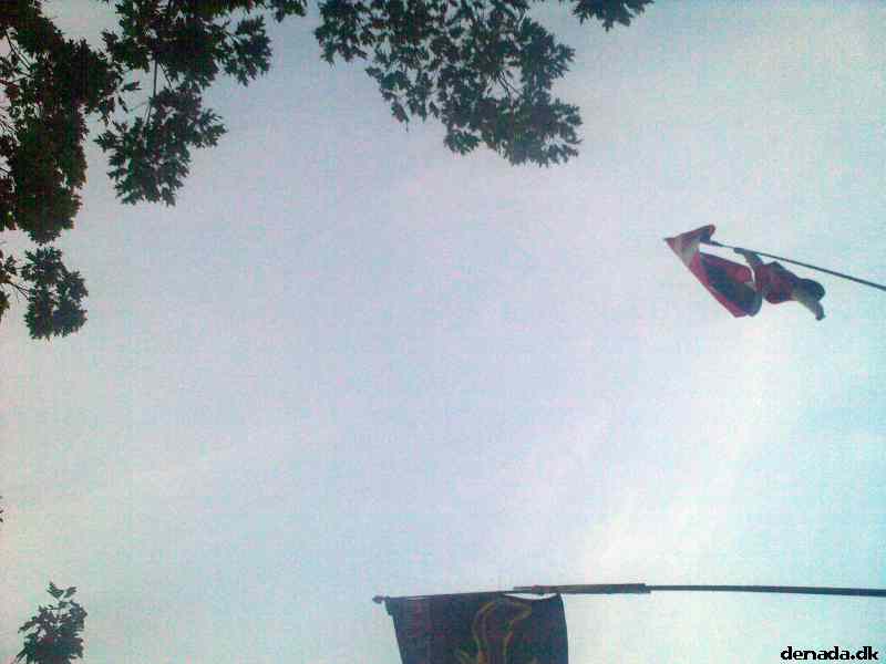 * Image 49
