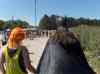 HPIM3802m.jpg - 2010:07:01 13:50:21
