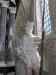 HPIM3749m.jpg - 2010:06:29 11:18:06