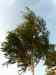HPIM3826m.jpg - 2010:07:02 20:06:19